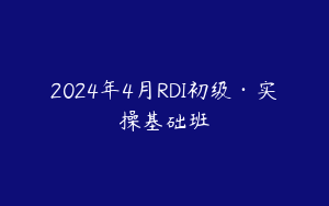 2024年4月RDI初级·实操基础班