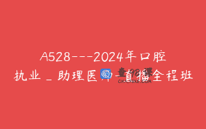 A528—2024年口腔执业_助理医师-直播全程班