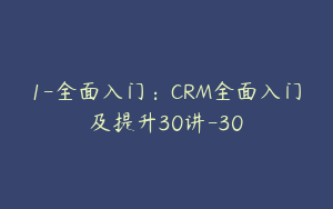 1-全面入门：CRM全面入门及提升30讲-30