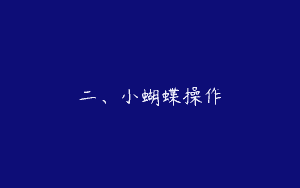 二、小蝴蝶操作