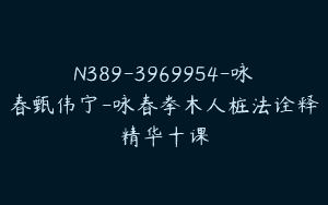 N389-3969954-咏春甄伟宁-咏春拳木人桩法诠释精华十课