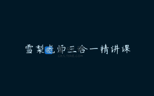 雪梨老师三合一精讲课