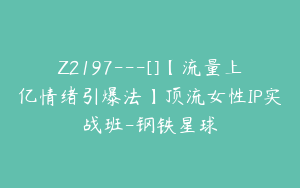 Z2197---[]【流量上亿情绪引爆法】顶流女性IP实战班-钢铁星球