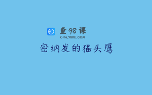 密纳发的猫头鹰