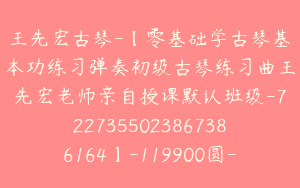 王先宏古琴-【零基础学古琴基本功练习弹奏初级古琴练习曲王先宏老师亲自授课默认班级-7227355023867386164】-119900圆-119节