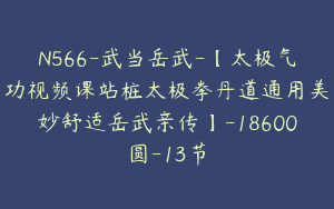 N566-武当岳武-【太极气功视频课站桩太极拳丹道通用美妙舒适岳武亲传】-18600圆-13节
