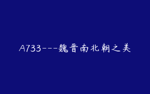 A733---魏晋南北朝之美
