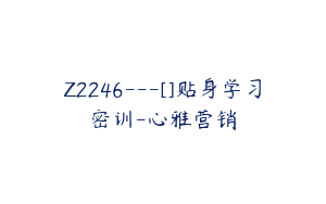 Z2246---[]贴身学习密训-心雅营销