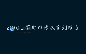 2010_家电维修从零到精通