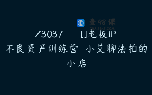 Z3037---[]老板IP不良资产训练营-小艾聊法拍的小店