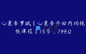 心意拳罗斌【心意拳丹田内功视频课程】15节_799.0