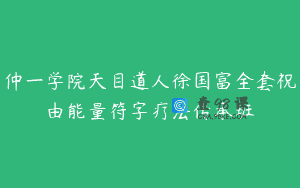 仲一学院天目道人徐国富全套祝由能量符字疗法传承班