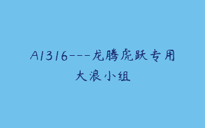 A1316—龙腾虎跃专用大浪小组