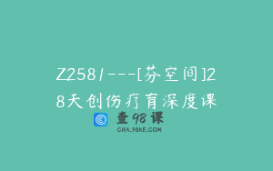 Z2581---[芬空间]28天创伤疗育深度课