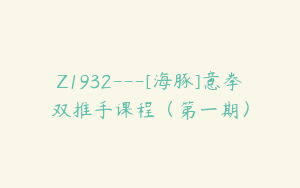 Z1932---[海豚]意拳双推手课程（第一期）