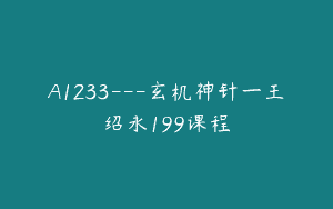 A1233—玄机神针一王绍永199课程