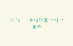 A616—卓越联盟一对一指导