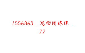 1556863_宠物团练课_22