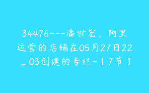 34476---潘世宏，阿里运营的店铺在05月27日22_03创建的专栏-【7节】