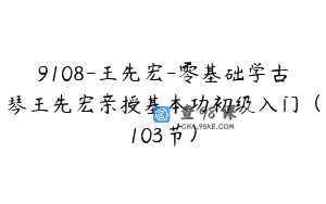 9108-王先宏-零基础学古琴王先宏亲授基本功初级入门（103节）