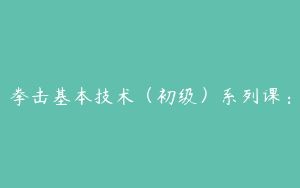 拳击基本技术（初级）系列课：