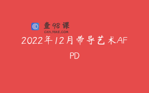 2022年12月带导艺术AFPD