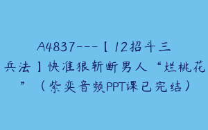 A4837---【12招斗三兵法】快准狠斩断男人“烂桃花”（紫奕音频PPT课已完结）