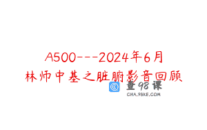 A500—2024年6月林师中基之脏腑影音回顾