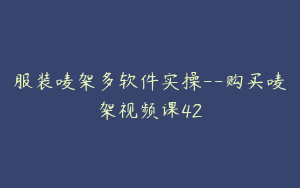 服装唛架多软件实操--购买唛架视频课42