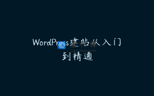 WordPress建站从入门到精通