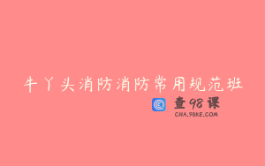 牛丫头消防消防常用规范班