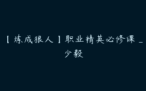 【炼成狠人】职业精英必修课_少毅