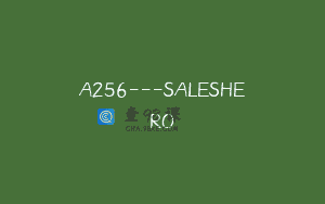 A256—SALESHERO