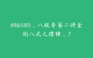 986585_八极拳第二讲金刚八式之撑锤_7