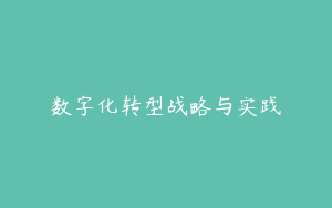 数字化转型战略与实践