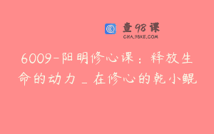 6009-阳明修心课：释放生命的动力_在修心的乾小鲲