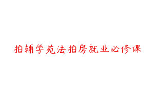 拍辅学苑法拍房就业必修课