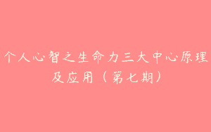 个人心智之生命力三大中心原理及应用（第七期）