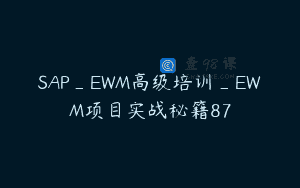 SAP_EWM高级培训_EWM项目实战秘籍87