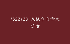 1322120-太极拳自修大拼盘