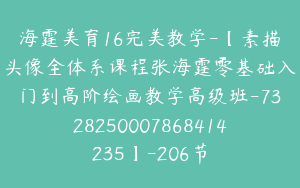 海霆美育16完美教学-【素描头像全体系课程张海霆零基础入门到高阶绘画教学高级班-7328250007868414235】-206节