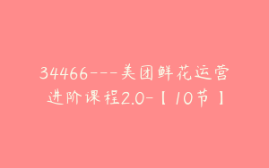 34466---美团鲜花运营进阶课程2.0-【10节】