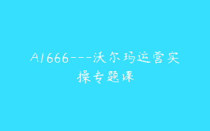 A1666—沃尔玛运营实操专题课