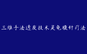 三维手法透皮技术灵龟腹针疗法