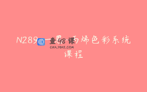 N289-一恩-丙烯色彩系统课程