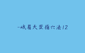 -峨眉天罡指穴法12