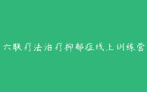 六联疗法治疗抑郁症线上训练营