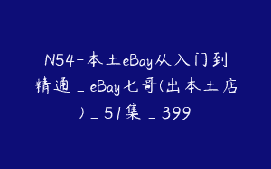 N54-本土eBay从入门到精通_eBay七哥(出本土店)_51集_399