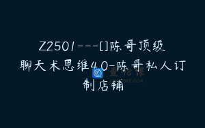 Z2501---[]陈哥顶级聊天术思维4.0-陈哥私人订制店铺
