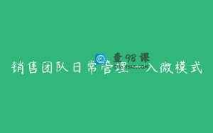 销售团队日常管理—入微模式